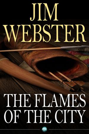 Cover of the book The Flames of the City by Chris Cowlin