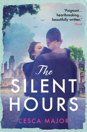 Book cover of Silent Hours