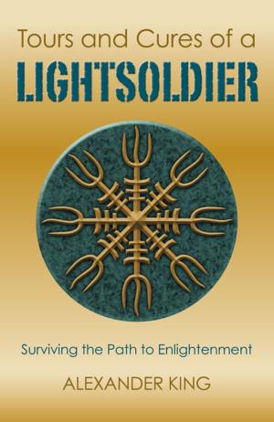 Cover of the book Tours and Cures of a Lightsoldier by Sophia Roets