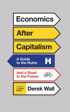 Cover of the book Economics After Capitalism by Bassel F Salloukh, Rabie Barakat, Jinan S Al-Habbal