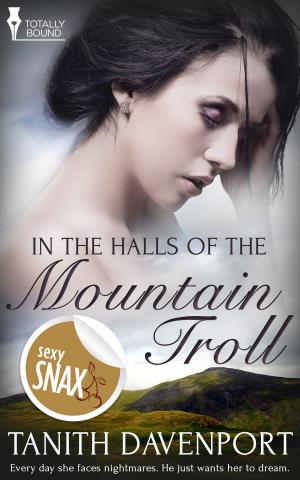 Cover of the book In the Halls of the Mountain Troll by Megan Slayer