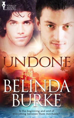 Cover of the book Undone by Megan Slayer