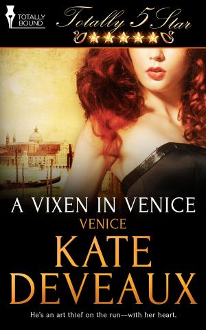 Cover of the book A Vixen in Venice by Morticia Knight