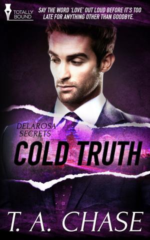 Cover of the book Cold Truth by Jaxx Steele