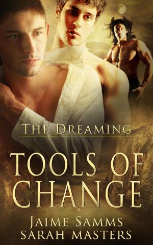 Cover of the book Tools of Change by Stephanie Burke