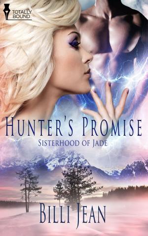 Cover of the book Hunter's Promise by Lyn Cash, Alexis Fleming