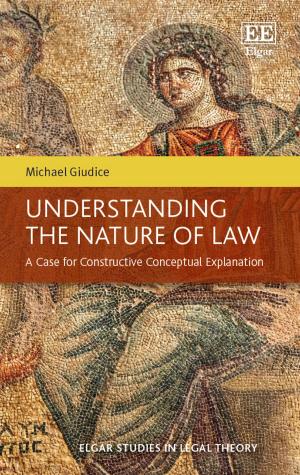 Cover of the book Understanding the Nature of Law by Robert Kolb