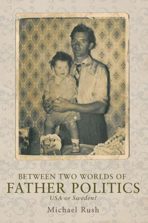 Cover of the book Between two worlds of father politics by David Myers