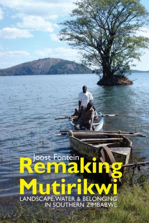 Cover of the book Remaking Mutirikwi by Stephen Lloyd