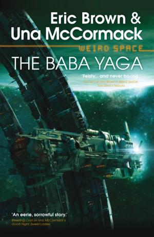 Book cover of The Baba Yaga