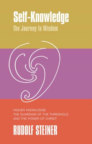 Cover of the book Self-Knowledge by Wendy E. Cook