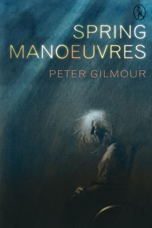 Cover of the book Spring Manoeuvres by Ermanno Cavazzoni