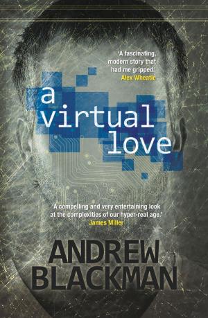 Cover of the book A Virtual Love by Zoë Jenny