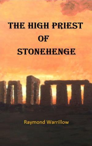 Book cover of The High Priest of Stonehenge