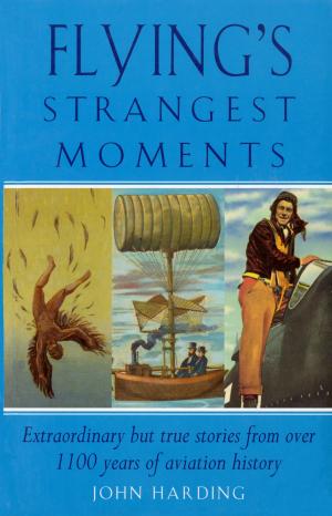 Cover of the book Flying's Strangest Moments by Justin Bowyer, Mike Figgis
