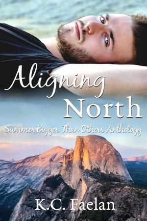 Cover of the book Aligning North by Hans M Hirschi