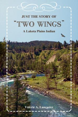 Cover of the book Just the Story of “Two Wings” A Lakota Plains Indian by Caraway Carter