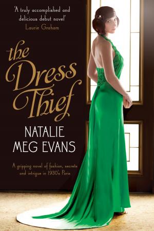 Cover of the book The Dress Thief by Kathryn Croft