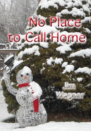 Cover of No Place to Call Home