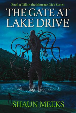 Cover of the book The Gate At Lake Drive by MF Burbaugh
