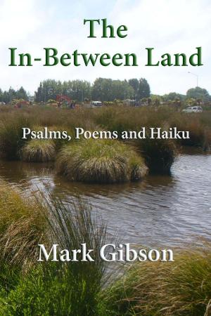 Cover of the book The In-Between Land by Mark Laurent