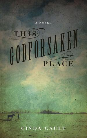Cover of the book This Godforsaken Place by Rosa Jordan