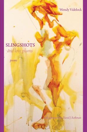 Cover of the book Slingshots and Love Plums - Poems by David Welper