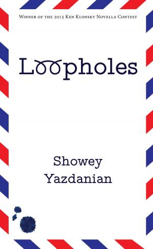 bigCover of the book Loopholes by 