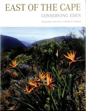 Cover of the book East of the Cape by Wendy Toerien
