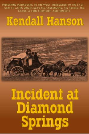 Book cover of Incident at Diamond Springs