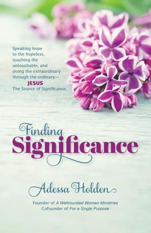 Cover of the book Finding Significance by Lee William Tisler