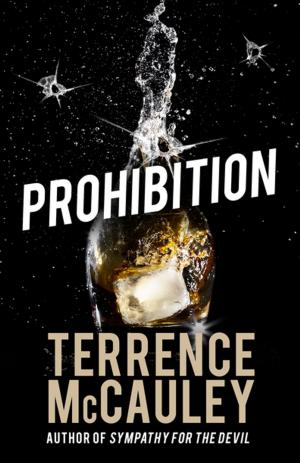 Cover of the book Prohibition by J.D. Rhoades