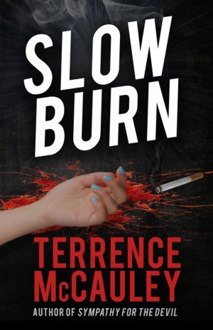 Cover of the book Slow Burn by J.D. Rhoades