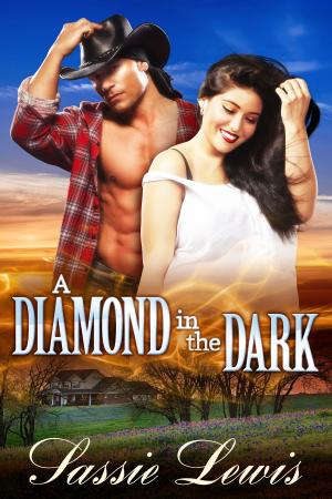 Cover of the book A Diamond in the Dark by Constance Bretes