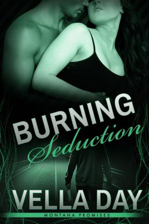 Cover of the book Burning Seduction by Kierra Baxter