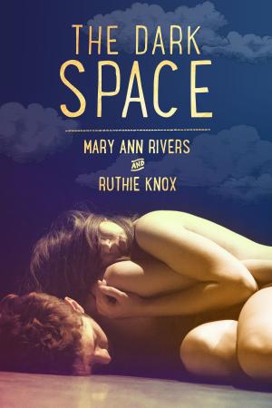 Cover of the book The Dark Space by Stefanie Moers