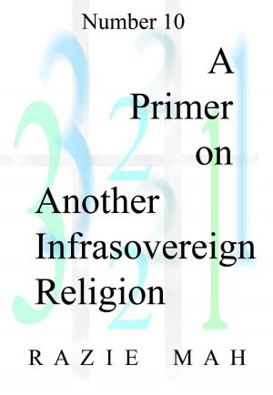 Book cover of A Primer on Another Infrasovereign Religion