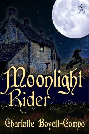 Cover of the book Moonlight Rider by Susan Mac Nicol, Christine Ashworth, Adele Downs, Emily Mims, Kary Rader, Joan Bird, Aubrey McKnight, Kat St. Croix