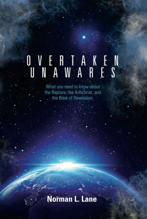 Cover of the book Overtaken Unawares by Chance  McLin, Ph.D.