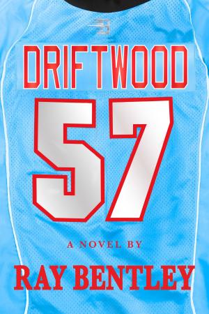 Cover of the book Driftwood by Ian Keldoulis