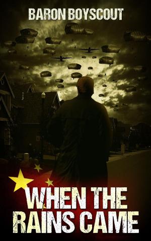 Book cover of When The Rains Came