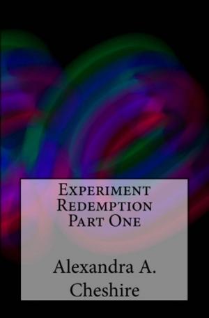 Book cover of Experiment Redemption Part One