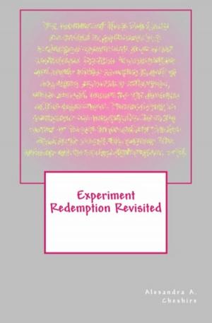 Book cover of Experiment Redemption Revisited