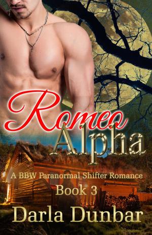Cover of Romeo Alpha - Book 3