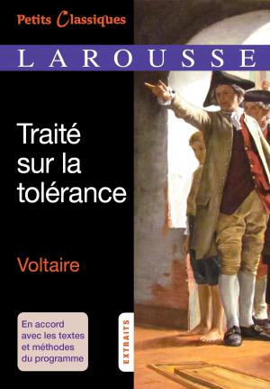 Cover of the book EBOOK/ Le Traité sur la tolérance by Frédérique Corre Montagu