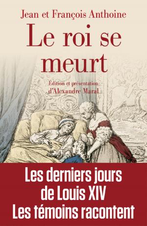 Cover of the book Le roi se meurt by Luc Devillers