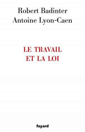 Cover of the book Le travail et la loi by Patrice Dard