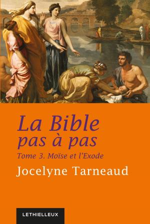 Cover of La Bible pas à pas, tome 3