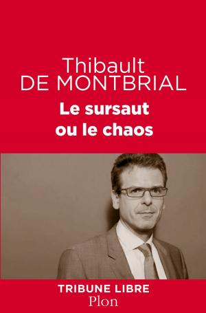 Cover of the book Le sursaut ou le chaos by Marylène PATOU-MATHIS