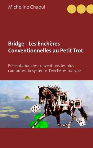 Cover of the book Bridge - Les Enchères Conventionnelles au Petit Trot by Stefan Schurr